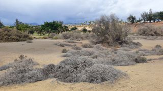 2023-GC-Dunas_Maspalomas-027.jpg